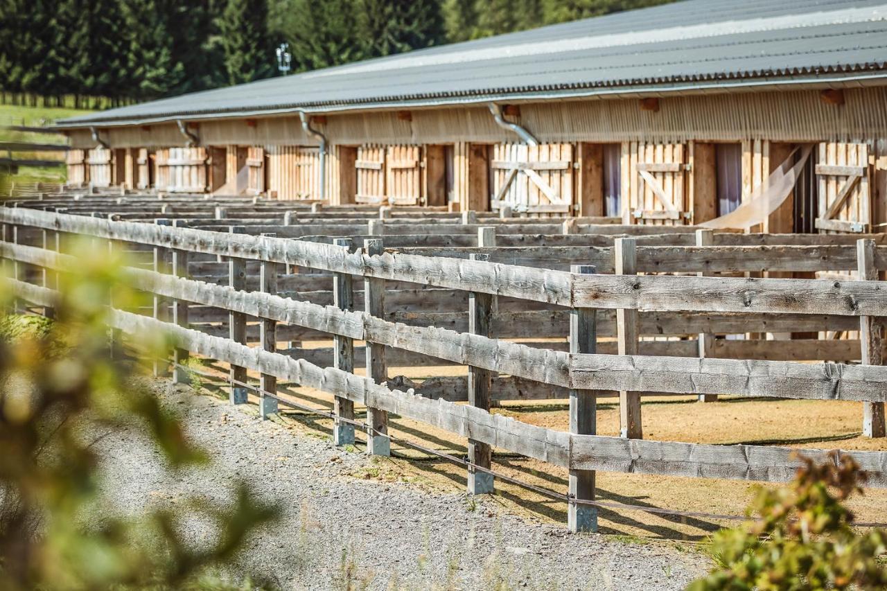 Ranchhouse Bubble - Westernstable - Horse Elterlein Εξωτερικό φωτογραφία