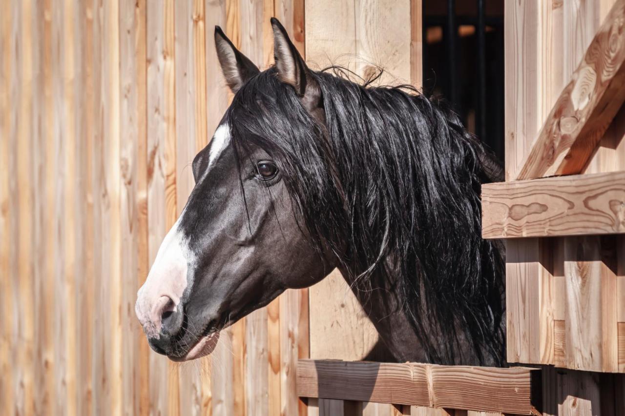 Ranchhouse Bubble - Westernstable - Horse Elterlein Εξωτερικό φωτογραφία